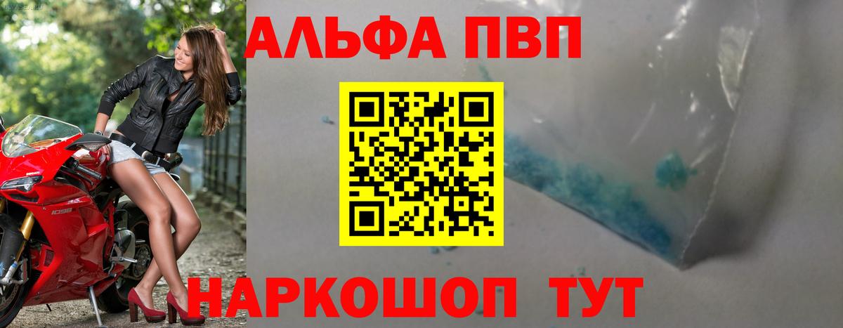 Альфа ПВП СК КРИС Сосновый Бор