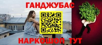 шишки Новозыбков