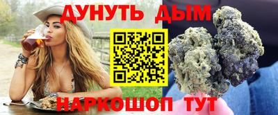 МДПВ Новодвинск
