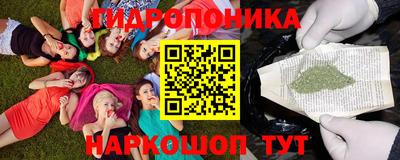 шишки Новозыбков