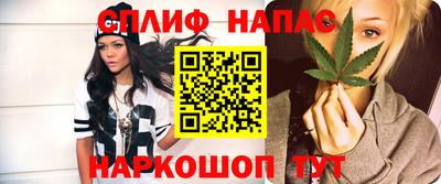 шишки Новозыбков