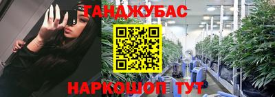 шишки Новозыбков