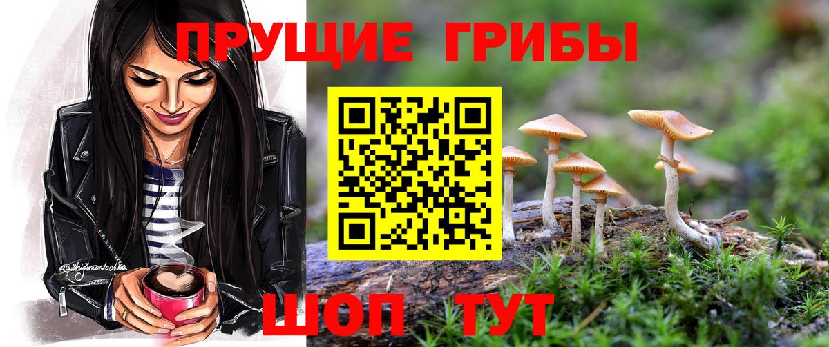 Сосновый Бор  Галлюциногенные грибы мицелий  Вход с VPN  Галлюциногенные грибы Magic Shrooms 
